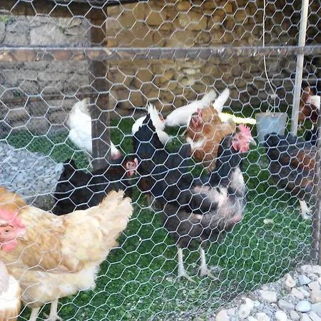 Διαμέρισμα La Encina